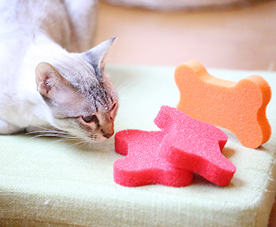 骨头形状宠物除毛硅胶绵